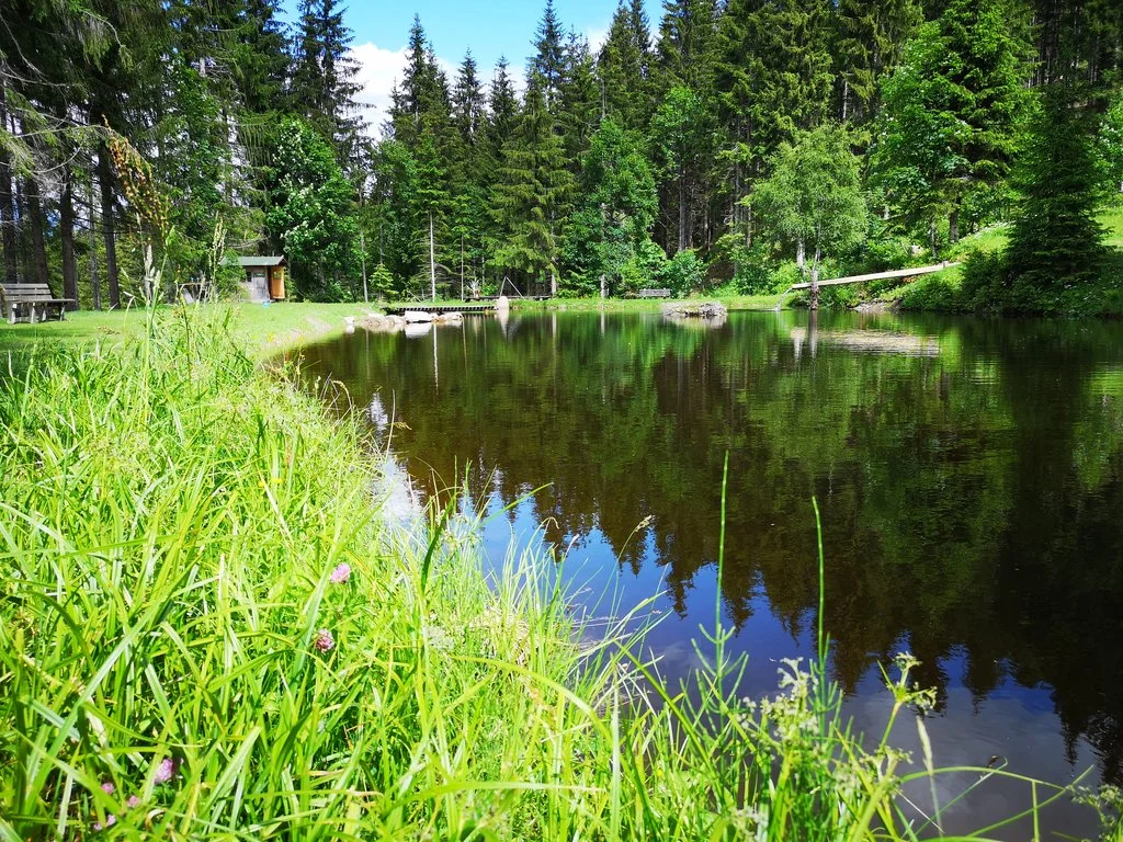 Sommer See