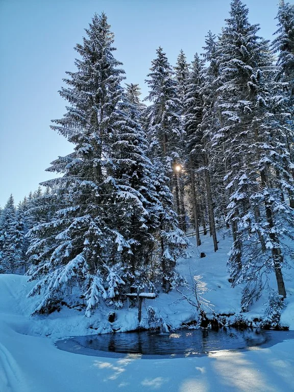 Radstadt Winterbild