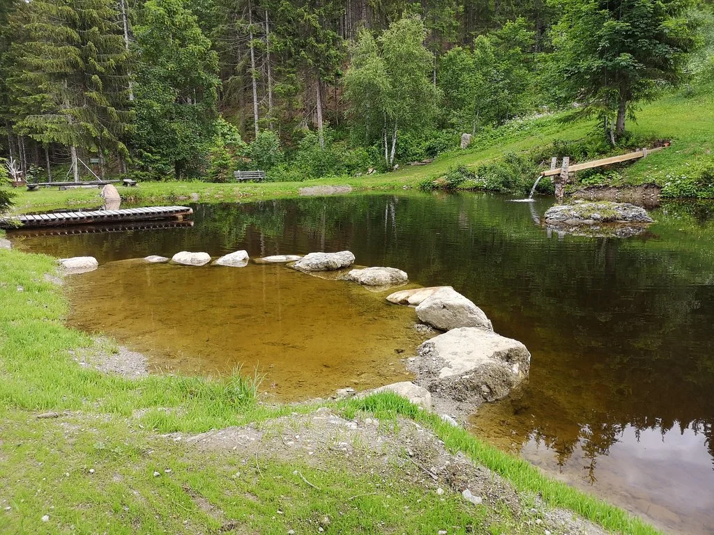 Teich