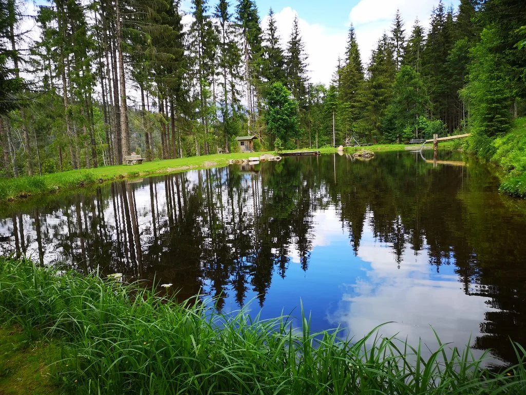 Sommerlandschaft